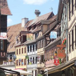 france/grand-est/obernai/rue-du-marche