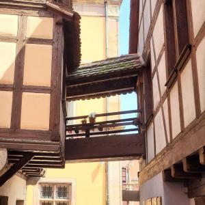 france/grand-est/obernai/ruelle-des-juifs