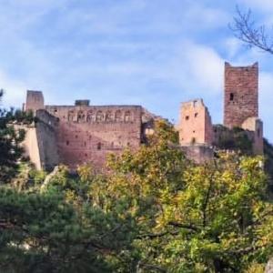 france/grand-est/ribeauville/chateau-de-saint-ulrich