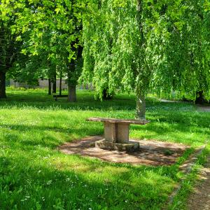 france/grand-est/saint-nicolas-de-port/parc-des-cigognes