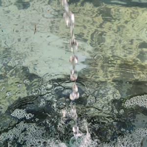 france/grand-est/saut-des-cuves