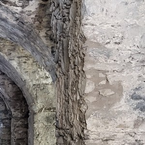 france/grand-est/sierck-les-bains