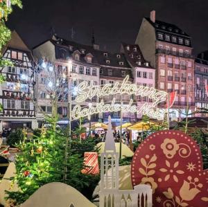 france/grand-est/strasbourg/christmas-market-of-strasbourg