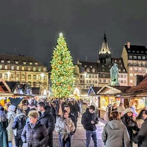 france/grand-est/strasbourg/christmas-market-of-strasbourg