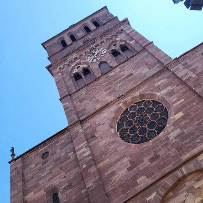 france/grand-est/strasbourg/eglise-saint-thomas