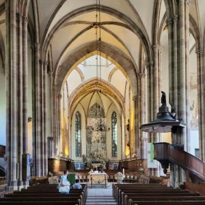 france/grand-est/strasbourg/eglise-saint-thomas