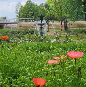 france/grand-est/thionville/parc-napoleon