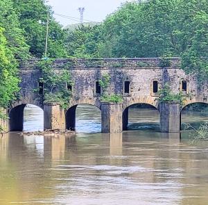 france/grand-est/thionville/pont-ecluse-nord-pont-du-couronne
