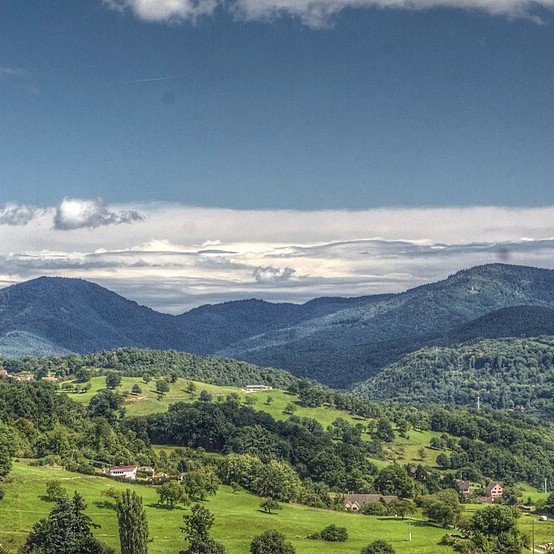 france/grand-est/vallee-de-munster
