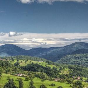 france/grand-est/vallee-de-munster