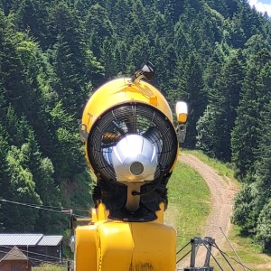 france/grand-est/wangenbourg-engenthal