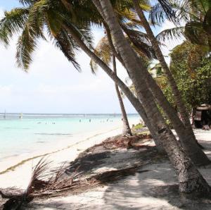 france/guadeloupe/plage-de-la-caravelle