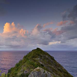 france/guadeloupe/pointe-de-la-grande-vigie