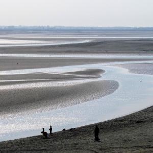 france/hauts-de-france/baie-de-somme