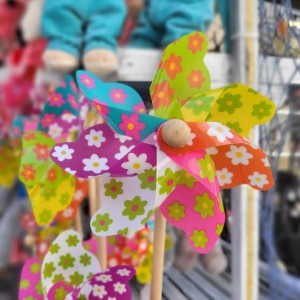 france/hauts-de-france/berck