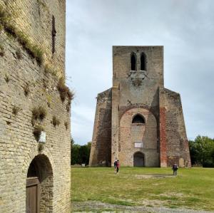 france/hauts-de-france/bergues/abbaye-saint-winoc