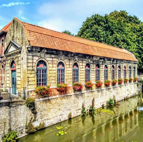 france/hauts-de-france/bergues/ancien-abattoir