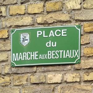 france/hauts-de-france/bergues/place-du-marche-aux-bestiaux