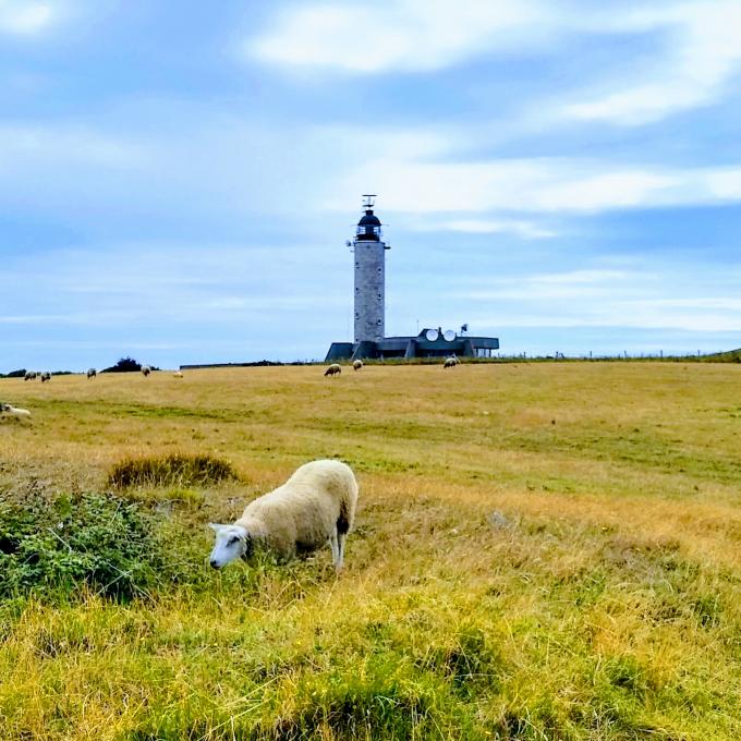 france/hauts-de-france/cap-gris-nez