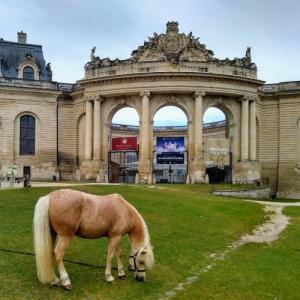 france/hauts-de-france/chantilly/musee-du-cheval