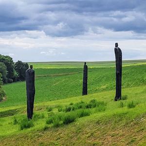 france/hauts-de-france/chemin-des-dames/constellation-de-la-douleur