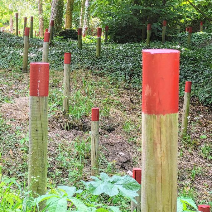 france/hauts-de-france/chemin-des-dames/jardins-de-la-paix