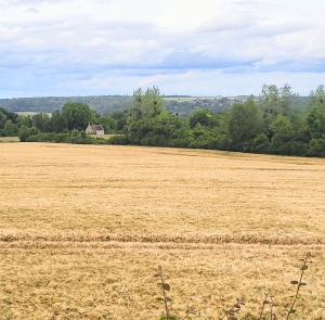 france/hauts-de-france/chemin-des-dames/panorama-de-la-royere