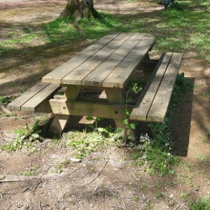 france/hauts-de-france/foret-d-halatte