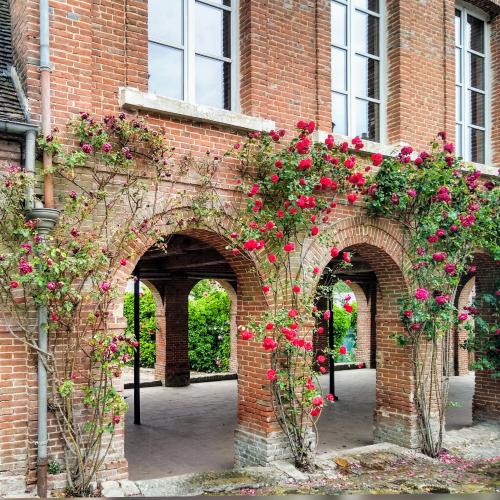 france/hauts-de-france/gerberoy/halles