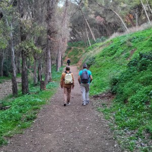 france/hauts-de-france/laonnois