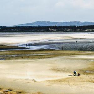 france/hauts-de-france/le-touquet-paris-plage/baie-de-canche