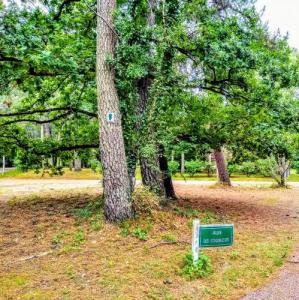 france/hauts-de-france/le-touquet-paris-plage/foret-du-touquet