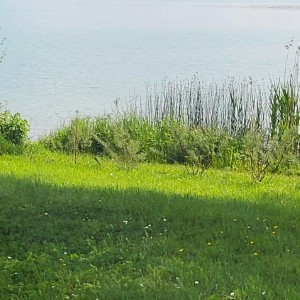 france/hauts-de-france/le-vimeu