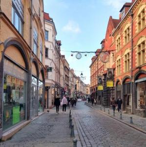 france/hauts-de-france/lille/rue-de-la-monnaie