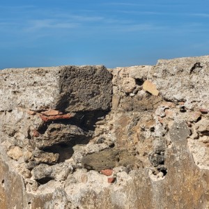 france/hauts-de-france/longueil-annel