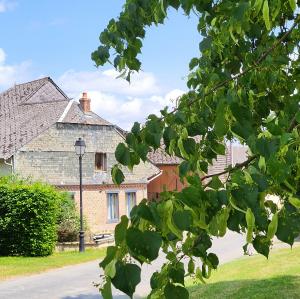 france/hauts-de-france/parfondeval/arbre-de-la-liberte