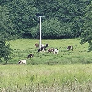 france/hauts-de-france/parfondeval/vue-sur-le-bocage