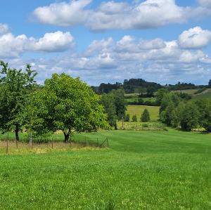 france/hauts-de-france/parfondeval/vue-sur-le-bocage