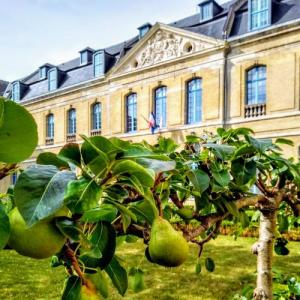 france/hauts-de-france/saint-omer/hotel-de-ville