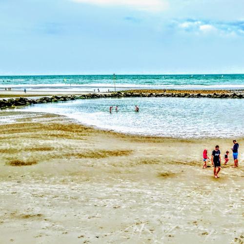 france/hauts-de-france/wimereux/promenade-michel-hamiot