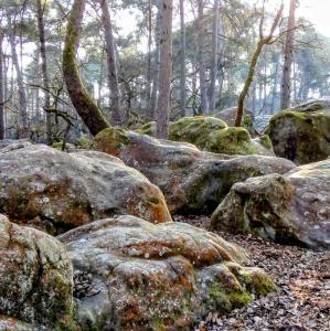 france/ile-de-france/barbizon