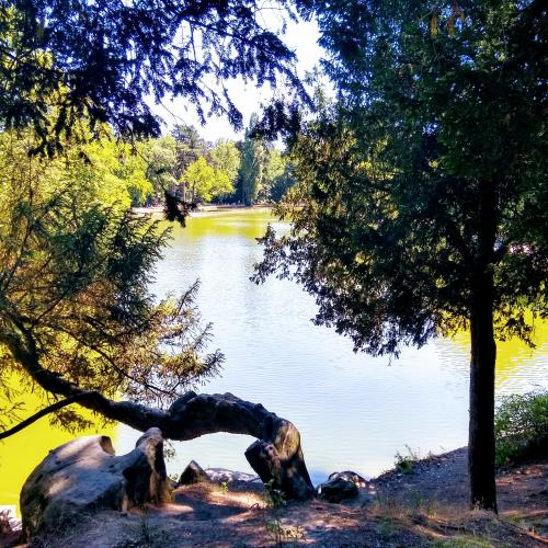 france/ile-de-france/bois-de-boulogne/lac-du-reservoir