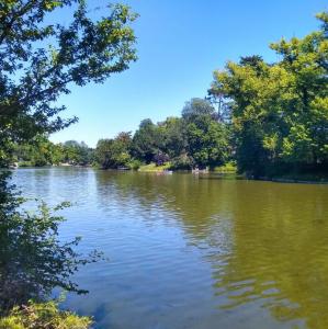 france/ile-de-france/bois-de-boulogne/lac-inferieur