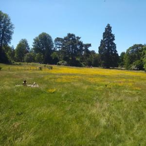 france/ile-de-france/bois-de-boulogne/parc-du-pre-calelan