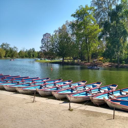 france/ile-de-france/bois-de-vincennes/lac-daumesnil