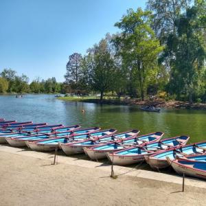 france/ile-de-france/bois-de-vincennes