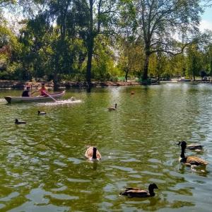 france/ile-de-france/bois-de-vincennes/lac-daumesnil