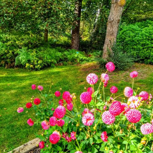 france/ile-de-france/bois-de-vincennes/parc-floral