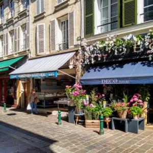 france/ile-de-france/fontainebleau/rue-des-sablons