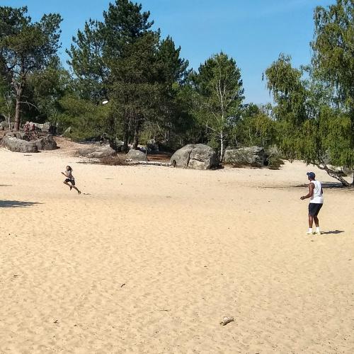 france/ile-de-france/foret-de-fontainebleau/sables-du-cul-du-chien